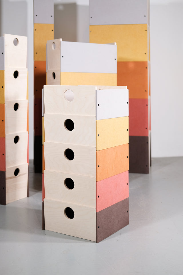 BOXO! - Brown